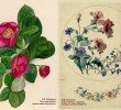 Ботаническая живопись в Школе акварели Сергея Андрияки